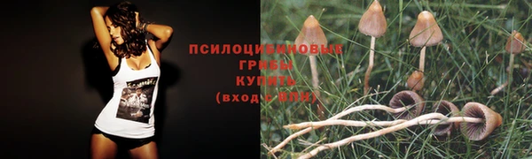 эйфоретик Алексеевка