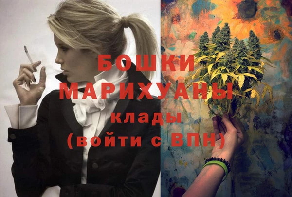 PSILOCYBIN Алзамай